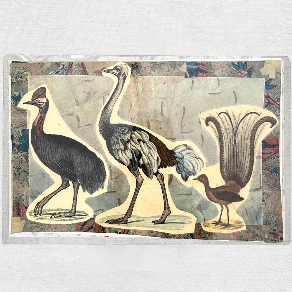 One of a Kind Collaged Bird Table Mat (#603)