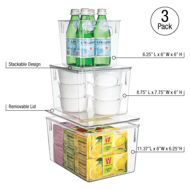 Plastic Container Bin with Lids (Variety Set)